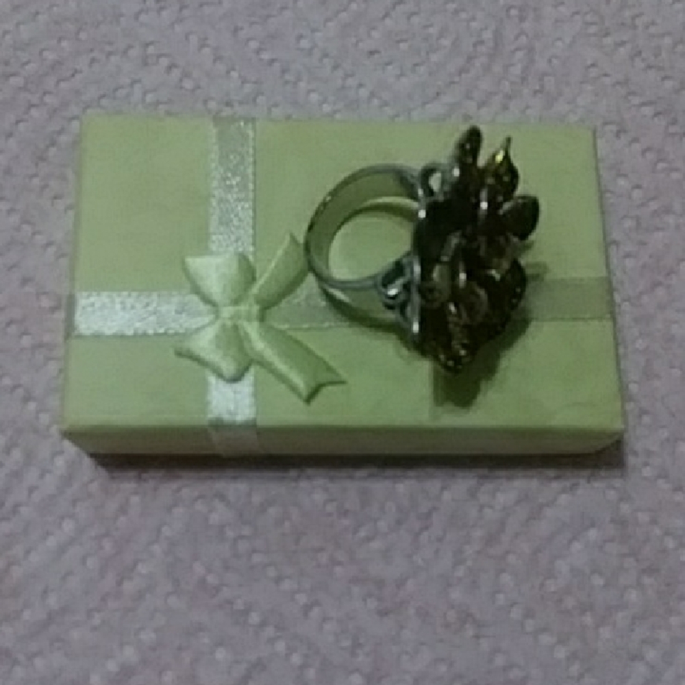 Exquisite Silver and Gold Women's Ring